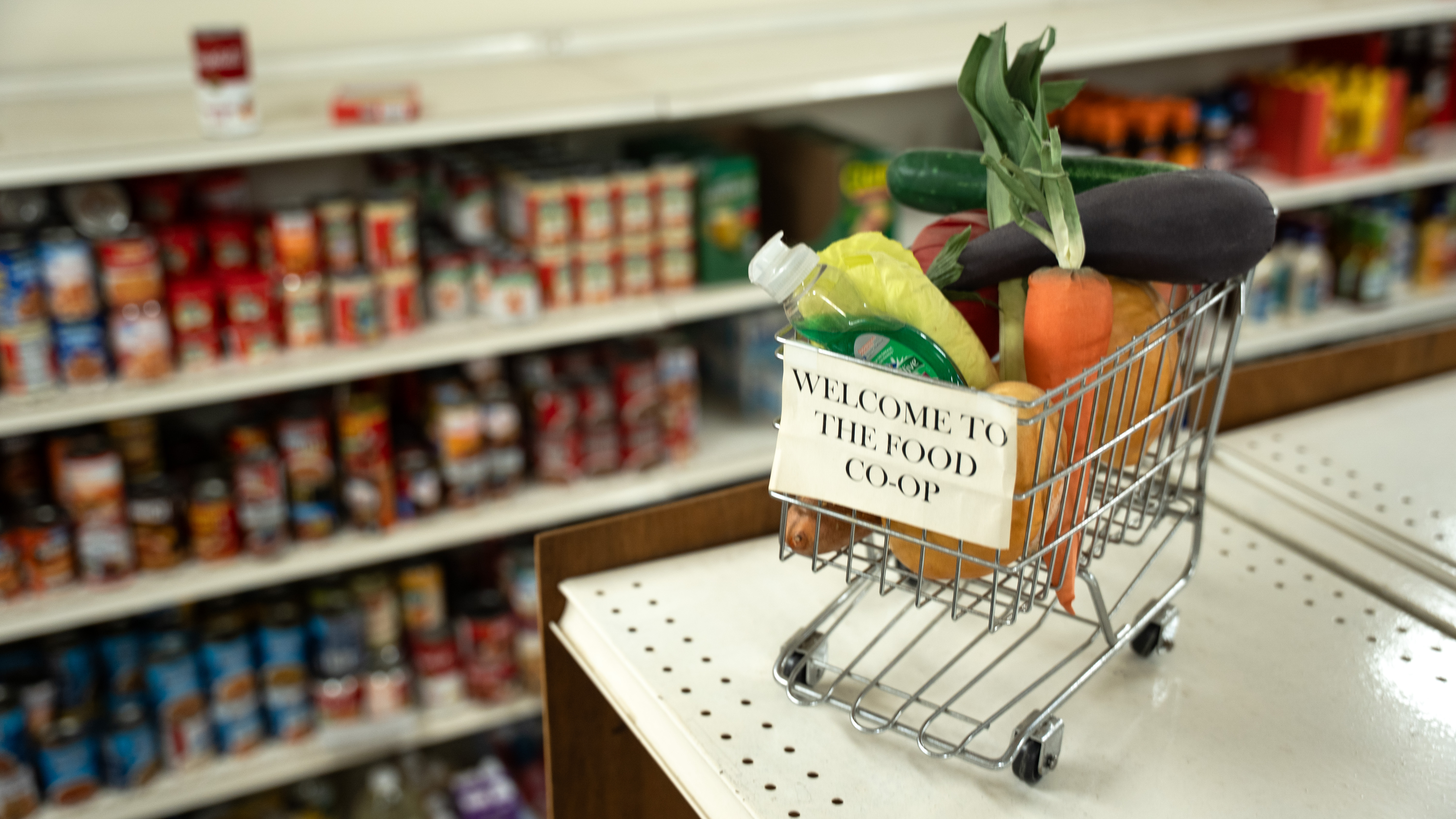food co-op shopping_september 30, 2025_00034