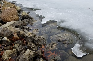 Ice melts off the Kramer Chapel Lake as spring arrives.