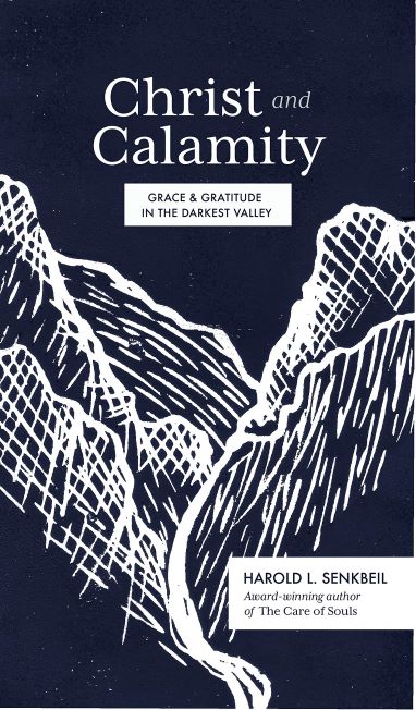 Christ and Calamity: Grace and Gratitude in the Darkest Valley cover